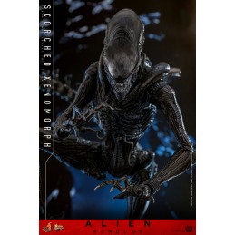 ALIEN ROMULUS MOVIE MASTERPIECE SCORCHED XENOMORPH ACTION FIGURE HOT TOYS