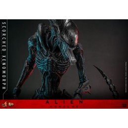 ALIEN ROMULUS MOVIE MASTERPIECE SCORCHED XENOMORPH ACTION FIGURE HOT TOYS