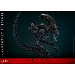 ALIEN ROMULUS MOVIE MASTERPIECE SCORCHED XENOMORPH ACTION FIGURE HOT TOYS