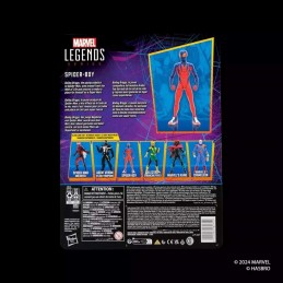 MARVEL LEGENDS SPIDER-MAN COLLECTION SPIDER-BOY ACTION FIGURE HASBRO