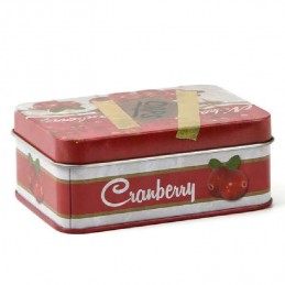 DEVPLUS FALLOUT NUKA CRANBERRY COLLETIBLE TIN REPLICA