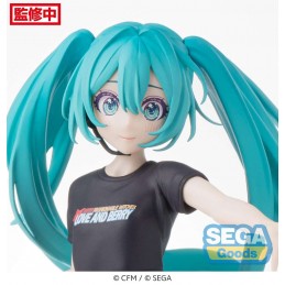 SEGA GOODS HATSUNE MIKU BERRY COSTUME DESKTOP X DECORATE PVC FIGURE STATUE