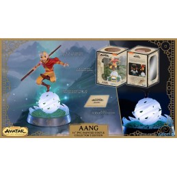 AVATAR THE LAST AIRBENDER AANG COLLECTOR'S EDITION STATUA 27CM FIGURE FIRST4FIGURES