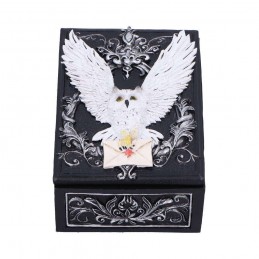 OWL MESSENGER BOX PORTAOGGETTI NEMESIS NOW