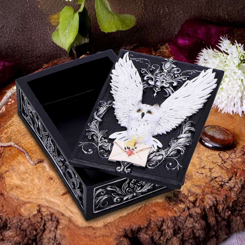 OWL MESSENGER BOX PORTAOGGETTI NEMESIS NOW