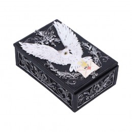 OWL MESSENGER BOX PORTAOGGETTI NEMESIS NOW