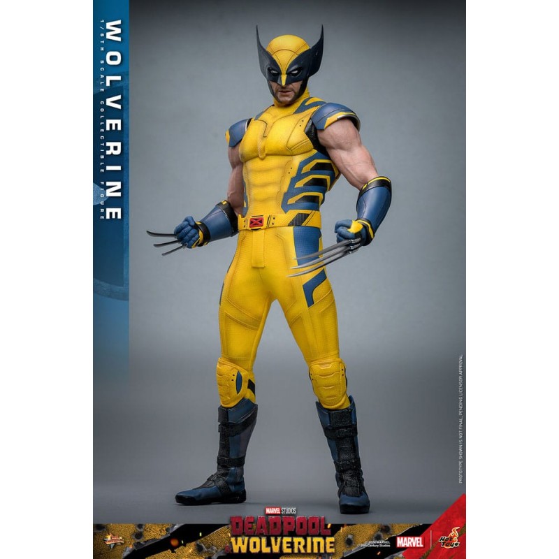 HOT TOYS DEADPOOL & WOLVERINE MOVIE MASTERPIECE WOLVERINE 1/6 SCALE ACTION FIGURE