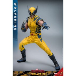 HOT TOYS DEADPOOL & WOLVERINE MOVIE MASTERPIECE WOLVERINE 1/6 SCALE ACTION FIGURE