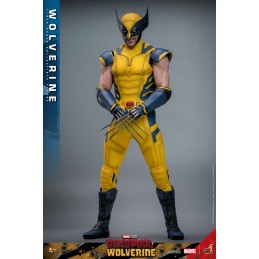 HOT TOYS DEADPOOL & WOLVERINE MOVIE MASTERPIECE WOLVERINE 1/6 SCALE ACTION FIGURE