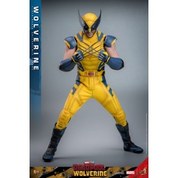 HOT TOYS DEADPOOL & WOLVERINE MOVIE MASTERPIECE WOLVERINE 1/6 SCALE ACTION FIGURE