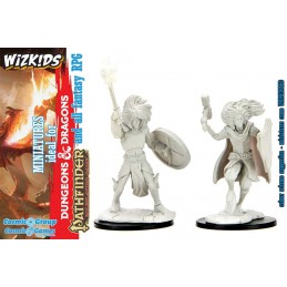 DUNGEONS AND DRAGONS NOLZUR'S CHANGELING CLERIC 2X MINIATURE WIZKIDS