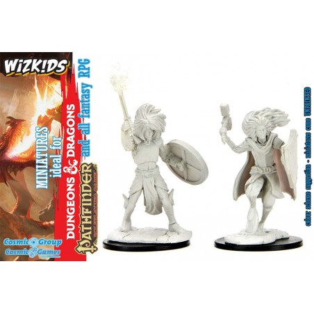 DUNGEONS AND DRAGONS NOLZUR'S CHANGELING CLERIC 2X MINIATURE