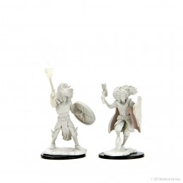 DUNGEONS AND DRAGONS NOLZUR'S CHANGELING CLERIC 2X MINIATURE WIZKIDS