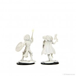 DUNGEONS AND DRAGONS NOLZUR'S CHANGELING CLERIC 2X MINIATURE WIZKIDS