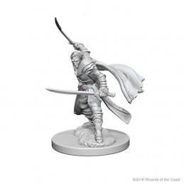 DUNGEONS AND DRAGONS NOLZUR'S ELF RANGER 2X MINIATURE WIZKIDS