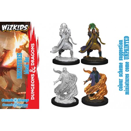 DUNGEONS AND DRAGONS NOLZUR'S ELF SORCERER 2X MINIATURE