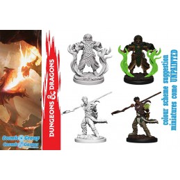 DUNGEONS AND DRAGONS NOLZUR'S HUMAN DRUID 2X MINIATURE WIZKIDS