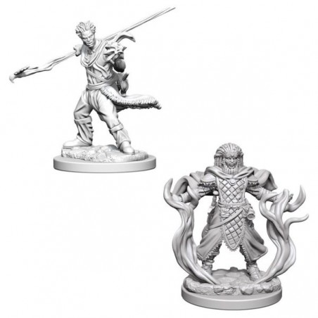 DUNGEONS AND DRAGONS NOLZUR'S HUMAN DRUID 2X MINIATURE