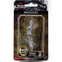 DUNGEONS AND DRAGONS NOLZUR'S MEDUSAS 2X MINIATURE WIZKIDS