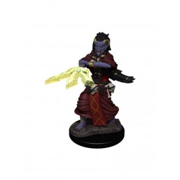 DUNGEONS AND DRAGONS NOLZUR'S NIGHT HAG AND DUSK HAG 2X MINIATURE WIZKIDS