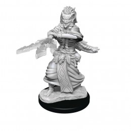 DUNGEONS AND DRAGONS NOLZUR'S NIGHT HAG AND DUSK HAG 2X MINIATURE WIZKIDS