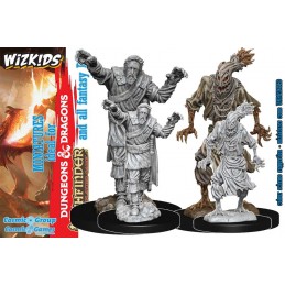 DUNGEONS AND DRAGONS NOLZUR'S SCARECROW AND STONE CURSED 2X MINIATURE WIZKIDS