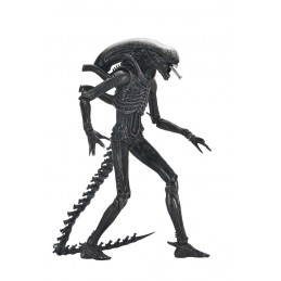 ALIEN ROMULUS XENOMORPH XX121 ULTIMATE ACTION FIGURE NECA