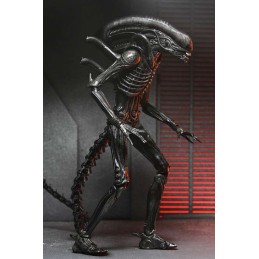 ALIEN ROMULUS XENOMORPH XX121 ULTIMATE ACTION FIGURE NECA