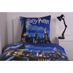 HARRY POTTER HOGWARTS ARRIVAL SET COPRIPIUMINO E FEDERA HERDING