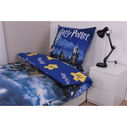 HARRY POTTER HOGWARTS ARRIVAL SET COPRIPIUMINO E FEDERA HERDING