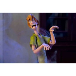 JADA TOYS SCOOBY DOO SHAGGY DE LUXE PVC ACTION FIGURE