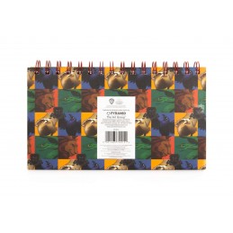 HARRY POTTER HOGWARTS HOUSES PLANNER SETTIMANALE PYRAMID INTERNATIONAL