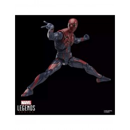HASBRO MARVEL LEGENDS GAMERVERSE SPIDER-MAN VELOCITY SUIT PVC ACTION FIGURE