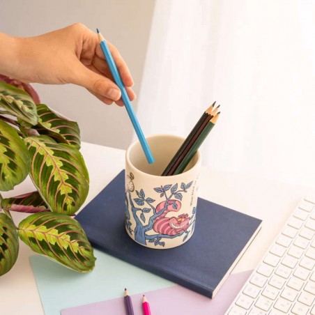 ALICE NEL PAESE DELLE MERAVIGLIE PEN HOLDER PORTAPENNE