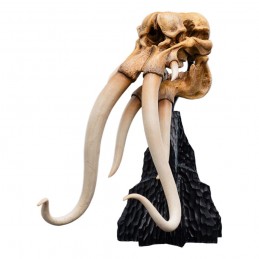 IL SIGNORE DEGLI ANELLI LORD OF THE RINGS SKULL OF A MUMAK REPLICA 15CM WETA