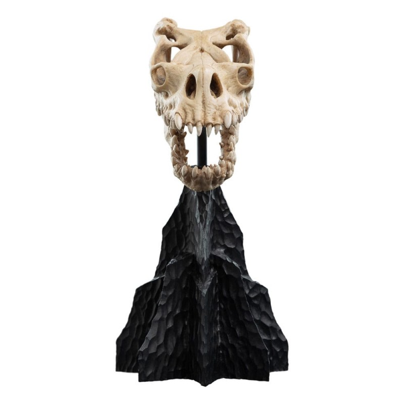 IL SIGNORE DEGLI ANELLI LORD OF THE RINGS SKULL OF A FELL BEAST REPLICA 21CM WETA IL SIGNORE DEGLI ANELLI LORD OF THE RINGS SKULL OF A FELL BEAST REPLICA 21CM WETA