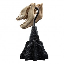 IL SIGNORE DEGLI ANELLI LORD OF THE RINGS SKULL OF A FELL BEAST REPLICA 21CM WETA IL SIGNORE DEGLI ANELLI LORD OF THE RINGS SKULL OF A FELL BEAST REPLICA 21CM WETA