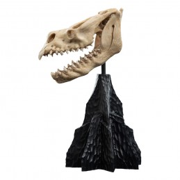 IL SIGNORE DEGLI ANELLI LORD OF THE RINGS SKULL OF A FELL BEAST REPLICA 21CM WETA IL SIGNORE DEGLI ANELLI LORD OF THE RINGS SKULL OF A FELL BEAST REPLICA 21CM WETA