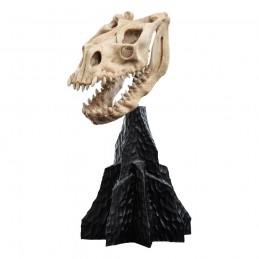IL SIGNORE DEGLI ANELLI LORD OF THE RINGS SKULL OF A FELL BEAST REPLICA 21CM WETA IL SIGNORE DEGLI ANELLI LORD OF THE RINGS SKULL OF A FELL BEAST REPLICA 21CM WETA
