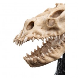 IL SIGNORE DEGLI ANELLI LORD OF THE RINGS SKULL OF A FELL BEAST REPLICA 21CM WETA IL SIGNORE DEGLI ANELLI LORD OF THE RINGS SKULL OF A FELL BEAST REPLICA 21CM WETA