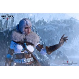THE WITCHER 3 WILD HUNT CIRI 1/6 30CM ACTION FIGURE PURE ARTS THE WITCHER 3 WILD HUNT CIRI 1/6 30CM ACTION FIGURE PURE ARTS