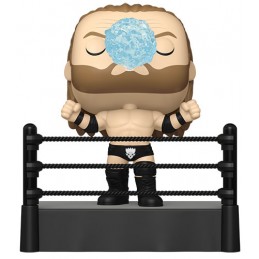FUNKO POP! WWE TRIPLE H RING ENTRANCE BOBBLE HEAD FIGURE FUNKO