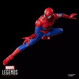 HASBRO MARVEL LEGENDS THE AMAZING SPIDER-MAN NO WAY HOME SERIES ACTION FIGURE
