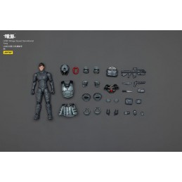 DARK SOURCE UNSC MIRAGE SQUAD 5X ACTION FIGURES JOY TOY (CN)