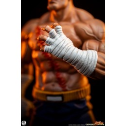 PCS PREMIUM COLLECTIBLES STUDIOS STREET FIGHTER SAGAT AND JULI 1/10 SCALE STATUE FIGURE