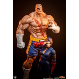 PCS PREMIUM COLLECTIBLES STUDIOS STREET FIGHTER SAGAT AND JULI 1/10 SCALE STATUE FIGURE