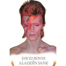 HALF MOON BAY DAVID BOWIE ALADDIN SANE TIN SIGN TARGA METALLO 15X21CM