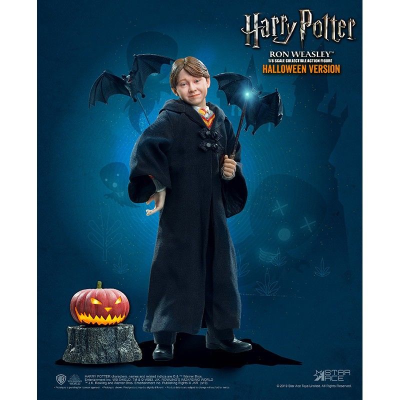 Harry Potter Halloween 1/6 Scale Limited Edition Accessory Pack